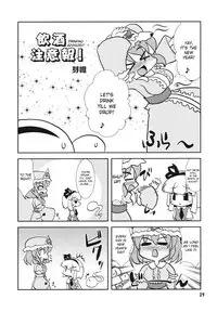 (C78) [Albatross (Nikusyo, Mei)] Idol Misuchi Ikimasu!! (Touhou Project) [English] [desudesu]