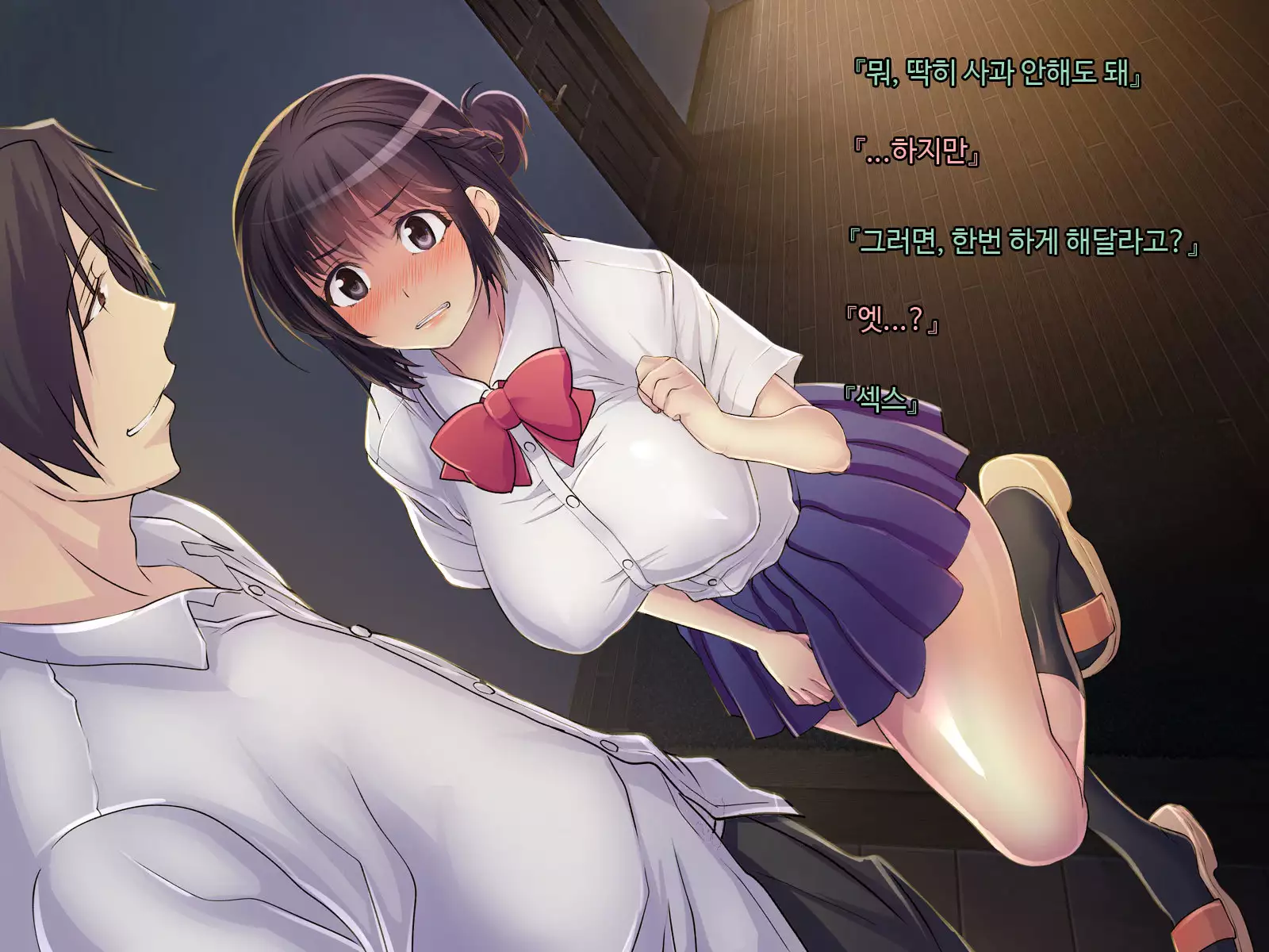 ani sex > otouto sex