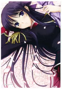 Walkure Romanze More & More Visual Fan Book