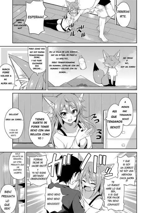 Sweet Fox | Dulce zorro