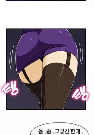 Chauffeur Service Ch.1-30.5