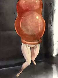 One Piece Marunomi Kyuushuu SEX