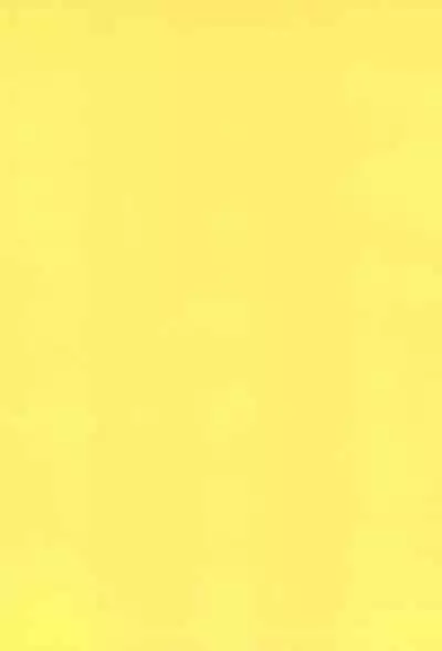 Chicchakute Ecchi Hon 7