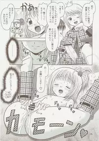 (C73) [Mr. Outside (Tomohara Michiya)] Premium (Shugo Chara)