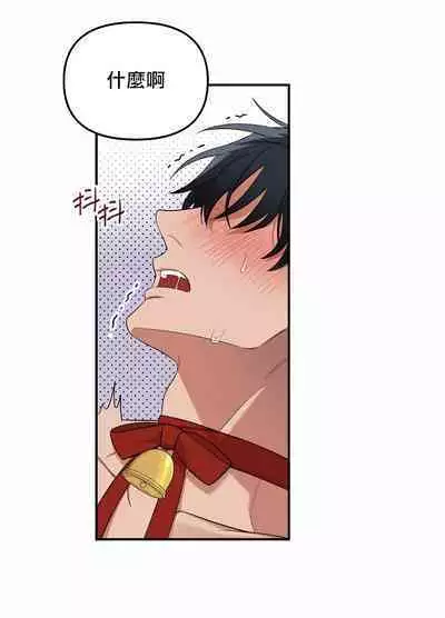 奇妙玩具来袭 01-02 Chinese