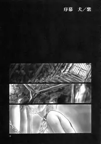 (C58) [Hellabunna (Iruma Kamiri)] INU/MURASAKI (Dead or Alive)