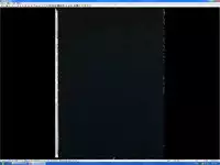 [Oda Non] NON VIRGIN 【Limited Edition】