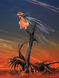 [Tsuzuki Kazuhiko] Neko no Ko