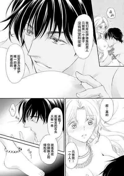 sabaku no ōji to kaizoku hime | 沙漠王子与海盗公主