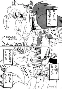 (C46) [Studio Wolf (Wolf Ogami, Ruuen Rouga)] Monzetsu Erieeru (Various)