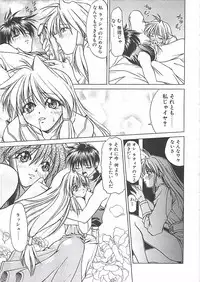 [Shizaki Masayuki] Abyssinian