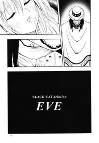 (C66) [Jitsuyou Tosho Fukyuukai R (Hotaruri, Pino)] The addictive VI (Black Cat)