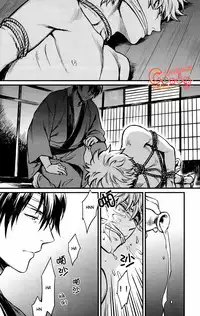 (AiBaka) [3745HOUSE (Mikami Takeru)] Sono Sube wo Boku wa Shiranai (Gintama) [English]