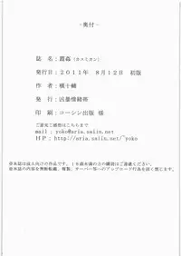 (C80) [Kyoubou Jouchotai (Yoko Juusuke)] Kasumi kan (Dead or Alive) [Chinese] [RSV个人汉化]