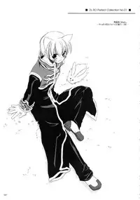 (C66) [Digital Lover (Nakajima Yuka)] DL-RO Soushuuhen 01 (Ragnarok Online)