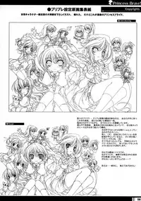 (C68) [StrayMoon (Miyama Zero)] Princess Brave! Jantaku no Kishi - Settei Gengashuu