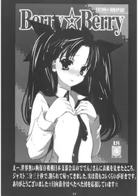 (C67) [STUDIO HIMAWARI (Himukai Kyousuke)] Berry Berry (Fate/stay night)