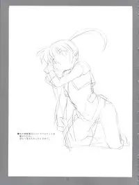 (COMIC1) [Soreya (Nishitsuki Tsutomu)] Lyrical Festival! A's (Mahou Shoujo Lyrical Nanoha)