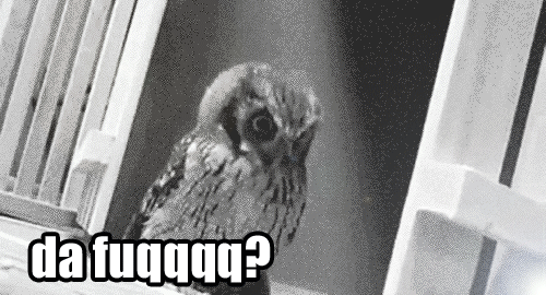 Noraneko Shoujo to no Kurashikata Ch. 4-16