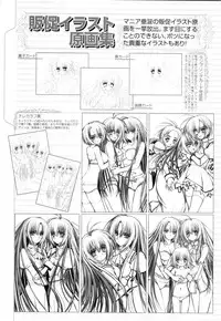 Otome wa boku ni koi shiteru Visual Fanbook (Otoboku)