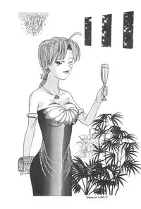 (C60) [CIRCLE FOUNDATION (Fujise Akira)] Plutinum 2 (Love Hina)
