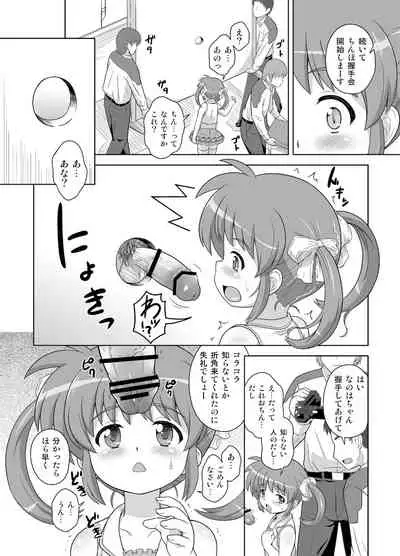 Nanoha-chan Kouhou Senden Taichou Soushuuhen Hon