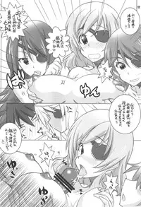 (C81) [Maruarai (Arai Kazuki)] ER (Infinite Stratos)