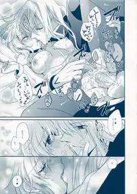 (C78) [Shinsen Gokuraku (Shuragyoku Mami)] BIRITAI (Tales of the Abyss)