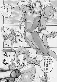 (C51) [D.G.S (Sengoku-kun)] Sengoku 2 (King of Fighters, Street Fighter)