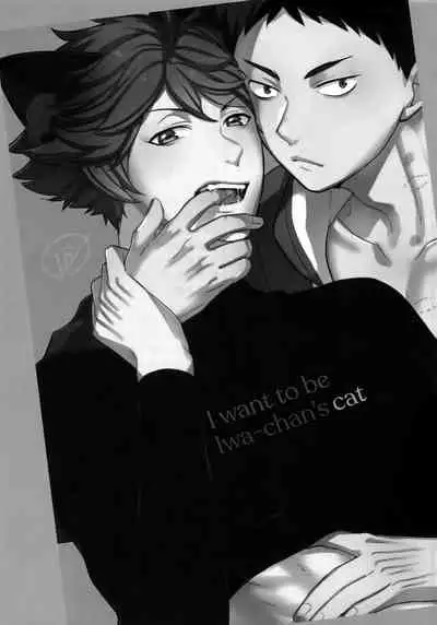 (C93) [Rototika (Kamishi Yue)] Iwa-chan no Neko ni Naritai 2 (Haikyuu!!) [English]