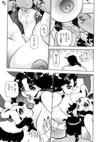 [Wingbird] - Kontoma Paradise