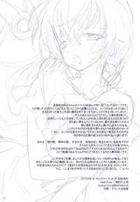 (C78) [super:nova (Yukimachi Tounosuke)] Na Mo Naki Tori - The bird without name in forest of grief. (Touhou Project)