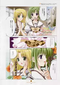 [設定資料集]SHUFFLE! Visual Fan Book