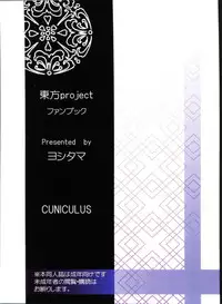 (Daikyuushuu Touhousai 4) [CUNICULUS (Yositama)] Everyday Night Fever!! (Touhou Project) [Chinese] [oo君個人漢化]