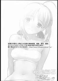 (ComicCAMERUN) [TIMTIM MACHINE (Various)] TIMTIM MACHINE Rebuild 2 Soushuuhen 5 (Fate/stay night) [Chinese] [Incomplete]