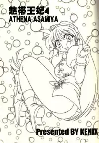 (CR27) [KENIX (Ninnin!, Wan-Pyo)] Nettai Ouhi 4 (King of Fighters)