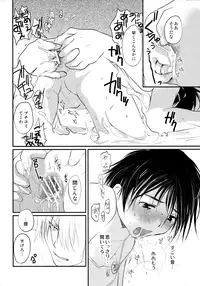 [CROCODILE-Ave. (Gangstar Yoshio)] MEGAMIX GRAVITATION Chirimenjako (Gravitation)