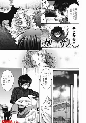 オトメ解禁日 しーざー