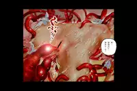 [NEO’GENTLE] Bitou Megami Elsex ~Bishoujo Robo Hakai Ryoujoku~