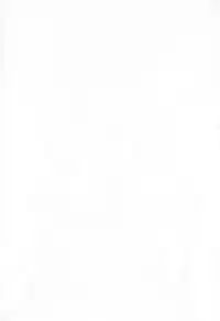 (C81) [Maidoll (Fei)] Kiss of the Dead 2 (Gakuen Mokushiroku Highschool of The Dead)