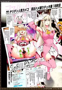 (C95) [viento campanilla (Suzuhane Suzu)] Cos wa Midara na Kamen -Hamecheki Shuu 2-satsume- (Fate/Grand Order) [Chinese] [新桥月白日语社]