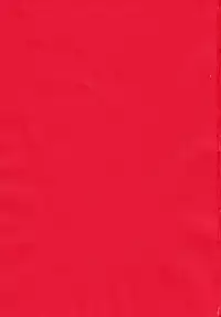 (C84) [Kanyou Shounen (URA)] Magical Zundoko Fire (Magi: The Labyrinth of Magic) [English] {Hennojin}