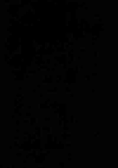 [Butabako-iki, Kaitei no Shio, Avocado Tabetai (Shio, Luki)] Shota Box (Genshin Impact) [Chinese] [逃亡者×真不可视汉化组]