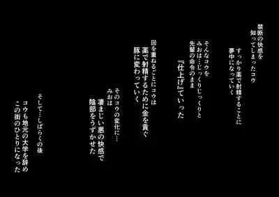 [pinkjoe] Daraku : Hametsu no Yuuwaku [Digital]