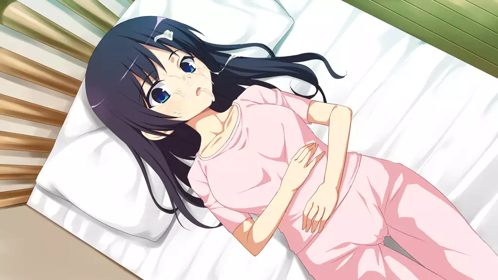 Imouto Tousatsu Kiroku