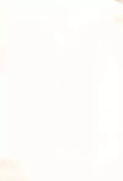 (C90) [BBB-Extra (Chuushin Kuranosuke)] WHITE MABO PANIC! (Fate/kaleid liner Prisma Illya)