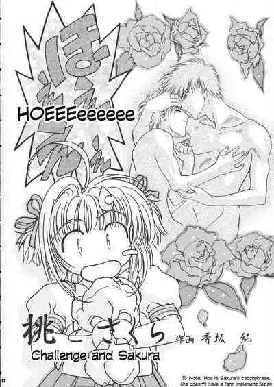 (CR37) [Gambler Club (Kousaka Jun)] Sammy Sakura Soushuuhen Ch 1-4 (Cardcaptor Sakura) [English]