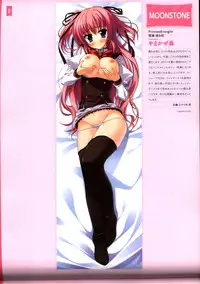 Dakimakura Cover Gashuu Bishoujo Game Hen