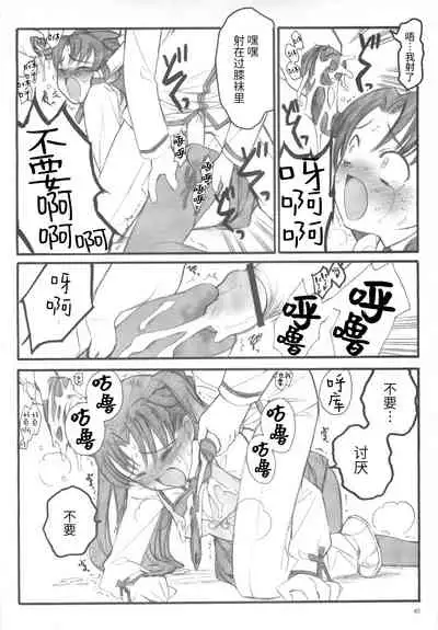 (C67) [Keumaya (Inoue Junichi)] Walpurgisnacht / Walpurgis no Yoru (Fate/stay night) [Chinese] [牛肝菌汉化]