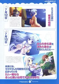 Tsunagaru Bangle - Visual Fan Book